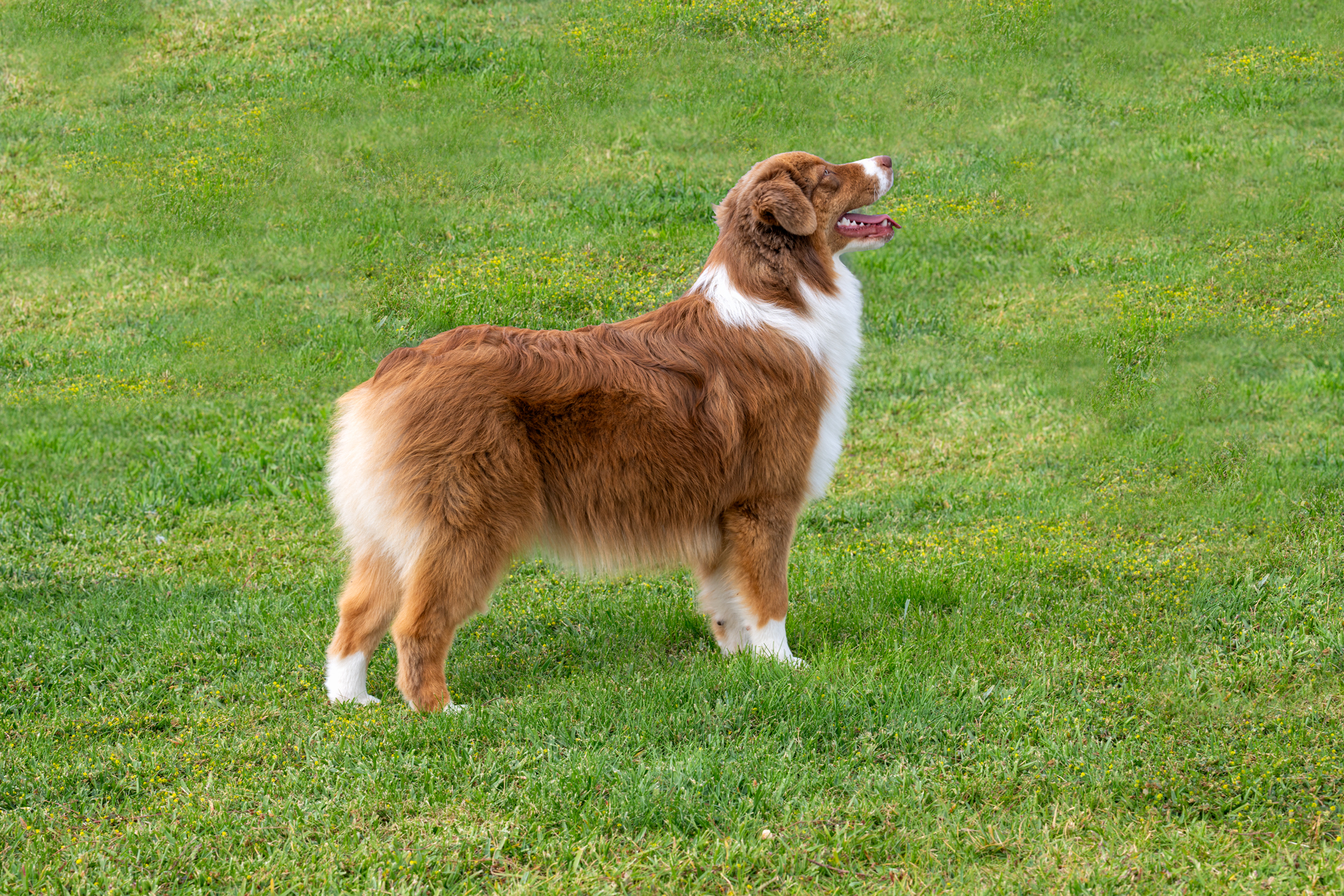 Val